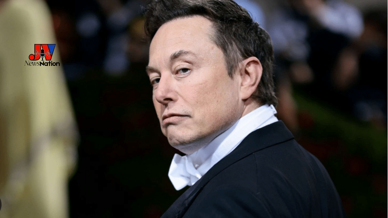 Everyone Ragging on Elon Musk