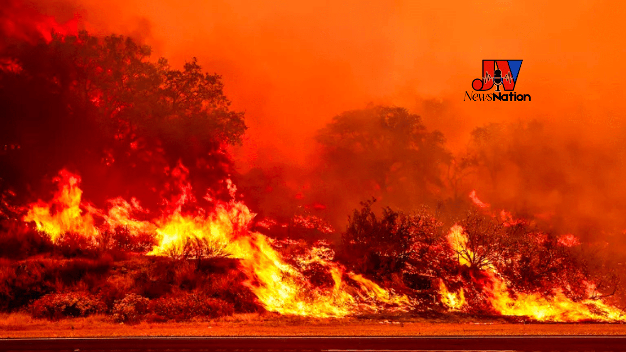 Massive Canyon Wildfire