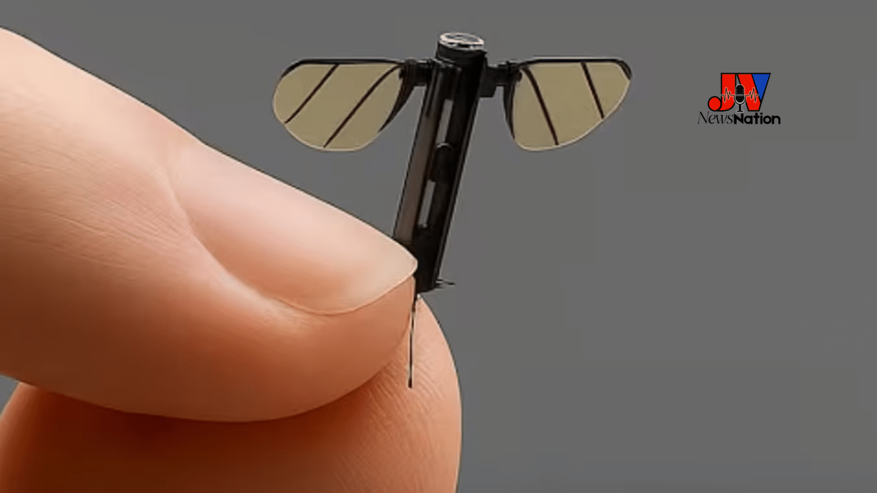 Mosquito Sized Drone